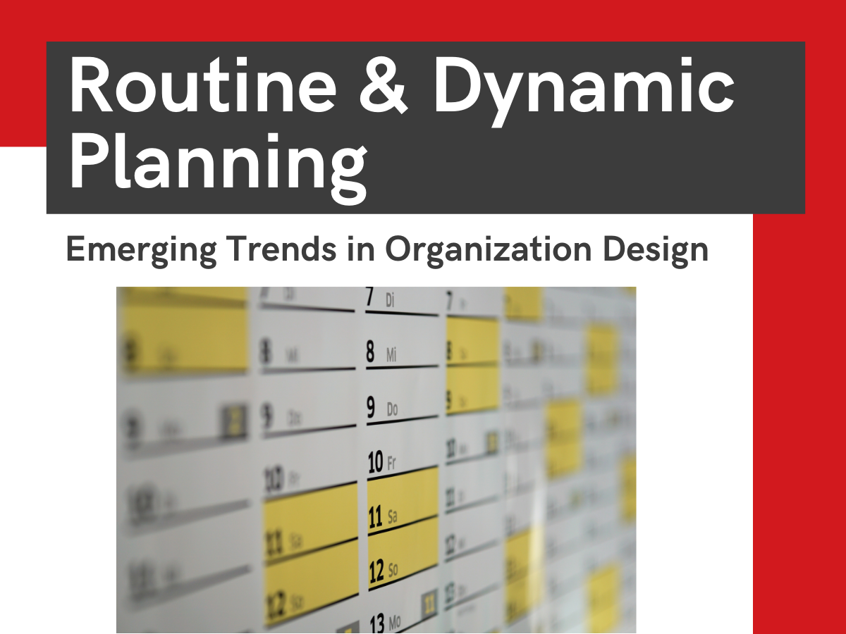 Routine and Dynamic Planning