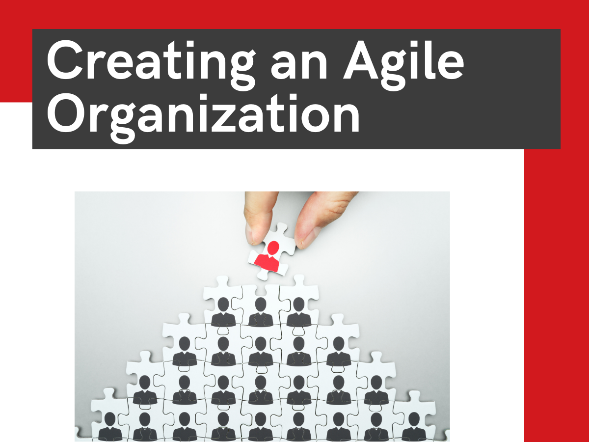 Creating an Agile Organization